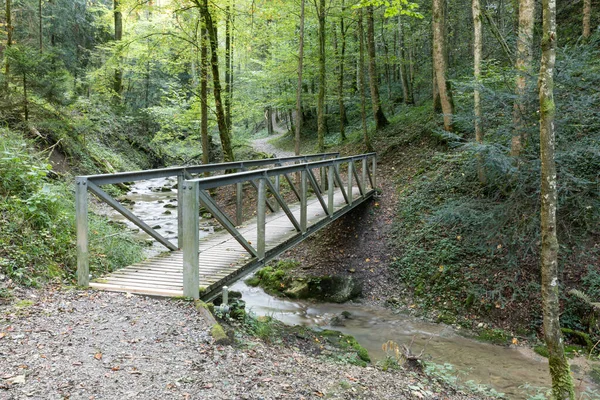 Derin yeşil ormandaki çelik ahşap köprü, suyun akışını gösteren uzun pozlama fotoğrafı, bulutlu havada gündüz vakti, su düşük, uzun zamandır yağmur yağmadı.