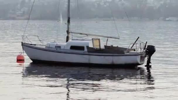 Altes Interessantes Boot Mit Schwarzem Außenbordmotor Schwimmt Führerlos Auf Dem — Stockvideo