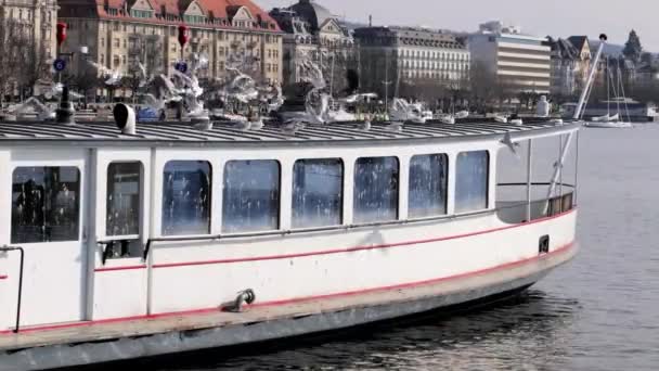 Witte Boot Steiger Staande Vliegende Meeuwen Vanaf Het Dak Een — Stockvideo