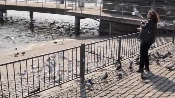 Eine Frau Füttert Tauben Und Möwen Ufer Einer Seebrücke Sie — Stockvideo