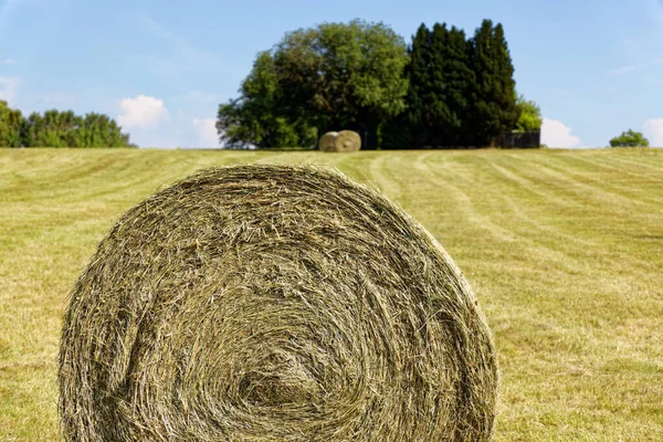 Freshly Harvested Hay Bale Green Meadow Image Strongly Focused Foreground — Stockfoto