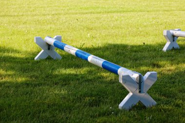 Mavi ve beyaz at gölgedeki yeşil bir çayırda, gün boyunca, insanlar olmadan, atların çok fazla harekete ihtiyacı var.