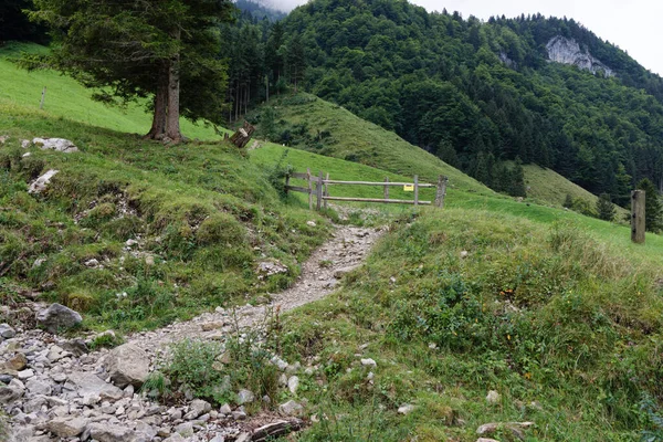 Taştan patikalı ahşap çitler ve yeşil bir çayırda insanların geçişi, sığır çitleri hayvanları sürmekten korur, arka planda insanlar olmadan orman olan dağ.