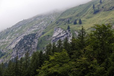 Bahar mevsiminde İsviçre sıradağları. Dağların tepelerinde yüksek sis ve köknar ormanı var. Gün boyunca insan yok.
