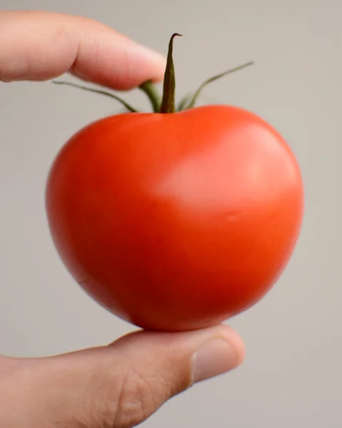 Vegetables. — Stock Photo, Image