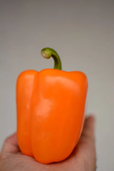 Vegetables. — Stock Photo, Image