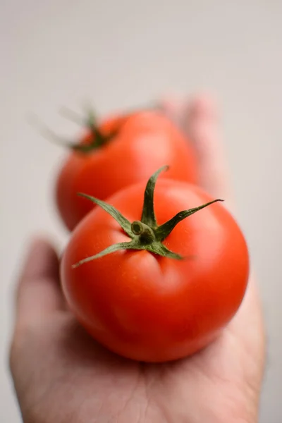 Vegetables. — Stock Photo, Image