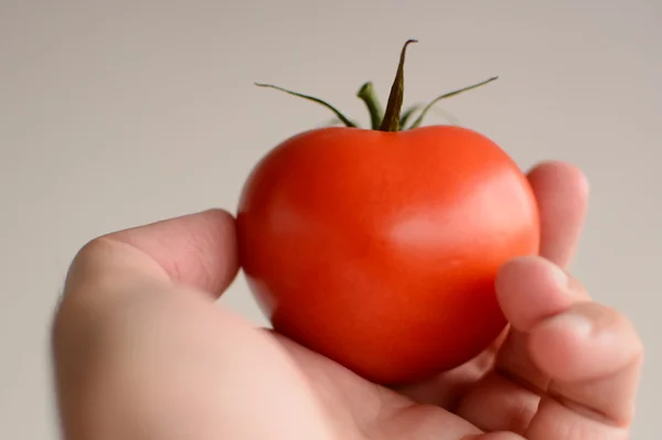 Vegetables. — Stock Photo, Image