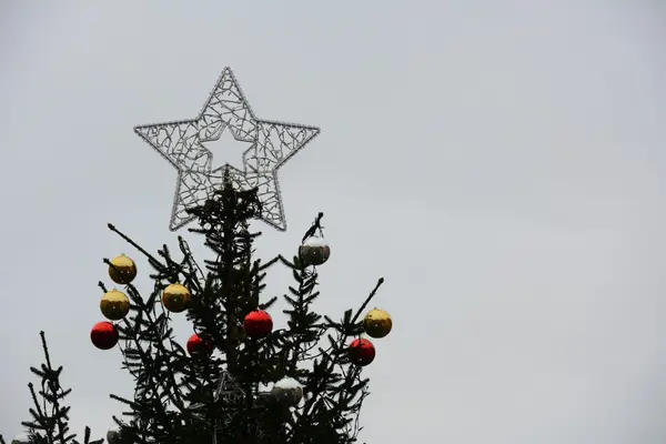 Kerstmis. — Stockfoto