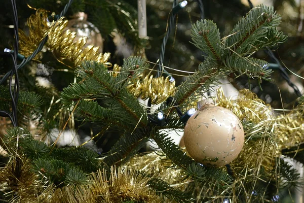 Weihnachten. — Stockfoto