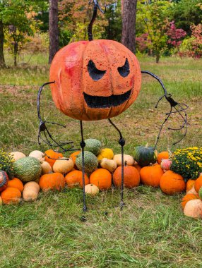 Halloween Pumpkin Decoration Display with Autumn Gourds and Squash Varieties in Festive Seasonal Arrangement for Fall Celebration