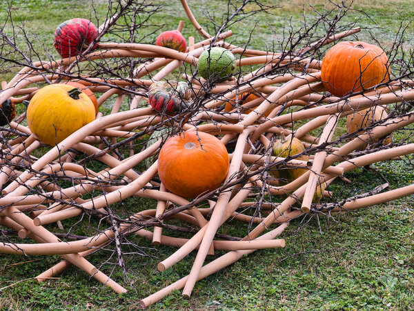 Autumn Pumpkins Gourds on Decorative Bamboo Twig Structure Fall Garden Display Creative Harvest Arrangement Outdoor Art Installation