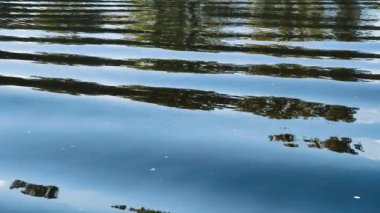 Su Yüzeyi Yansımaları Ağaçlar Ayna Etkisi Sıvı Soyut Doğa Örnekleri Mavi Gökyüzü Sükunet Sahnesi Yavaş Hareket 4K Video