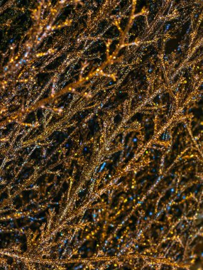 Su güzel sonbahar yaprakları