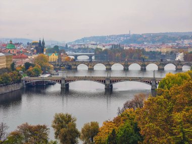 Prag Sonbahar Kenti Vltava Nehri Köprüleri Yeşil Bakır Kubbe Charles Köprüsü Terracotta Çatıları Çek Cumhuriyeti Hava Panoraması