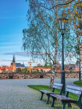 Prag Riverside Parkı Sonbahar Kıyısı Mavi Gökyüzü Sokağı Lambası Birch Ağacı Huzurlu Rahatlama Çek Cumhuriyeti Avrupa Seyahat Manzarası