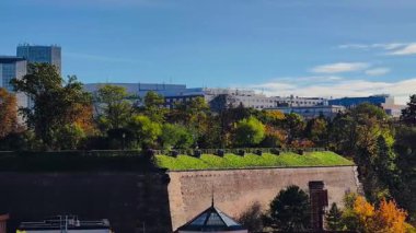 4K Hava Aracı Marina Rıhtımı Sonbahar Yeşillikleri Rıhtım Rıhtımı Rıhtımı Rıhtım Rıhtımı Rıhtım Rıhtımı Rıhtım Renkleri Yelkenlileri Yansımalı Suyu Yansıtan Tekneler