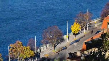 Prag Vltava Nehri Sonbahar Demiryolu Köprüsü Kürek çeken Kırmızı Çatılar Çek Cumhuriyeti Su Sporları Şehri Avrupa Seyahat Aktif. 4K Video