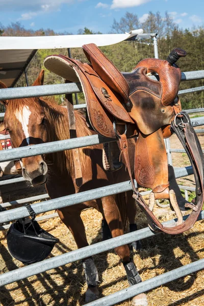 La sella per equitazione e rodeo — Foto Stock