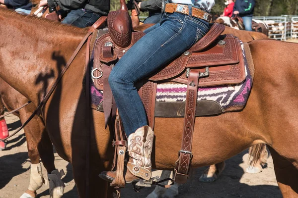 The horse with saddle — Stock Photo, Image