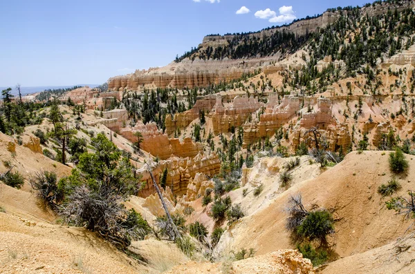 Bryce canyon - park narodowy - usa — Zdjęcie stockowe