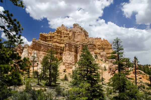 Bryce canyon - park narodowy - usa — Zdjęcie stockowe