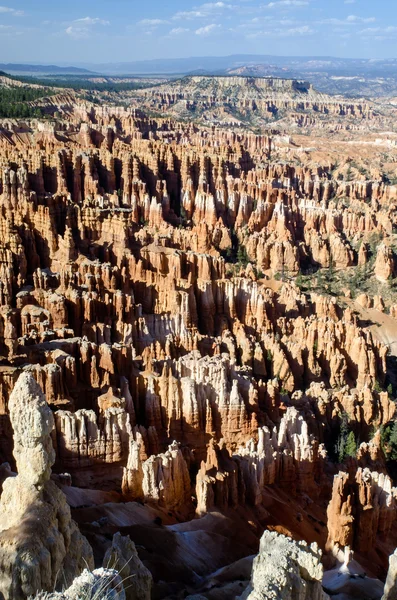 Bryce Canyon - National Park - USA — Stock Photo, Image