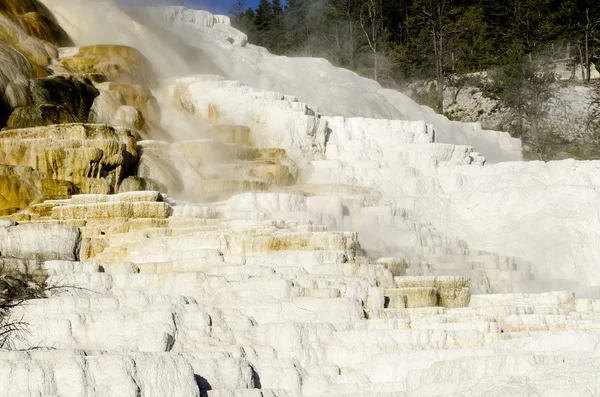 Sources thermales Mammouth à Yellowstone — Photo