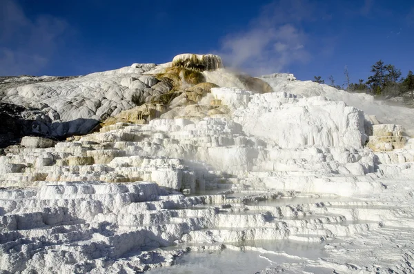 Mammoth Hot Springs in Yellowstone — Stock Photo, Image