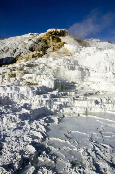 Mammoth Hot Springs in Yellowstone — Stock Photo, Image