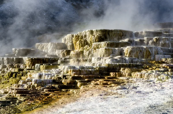 Mammoth hot springs i yellowstone — Stockfoto