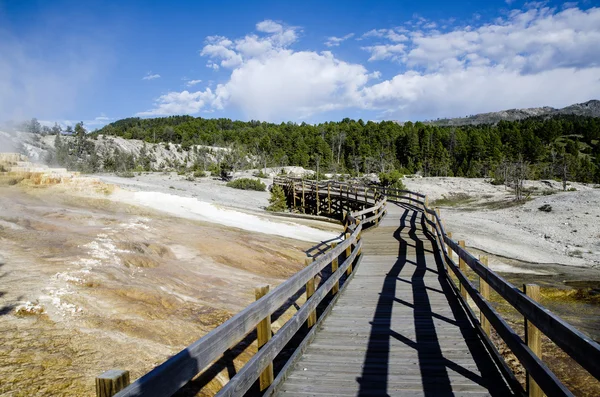 Mammoth Hot Springs in Yellowstone — Stock Photo, Image