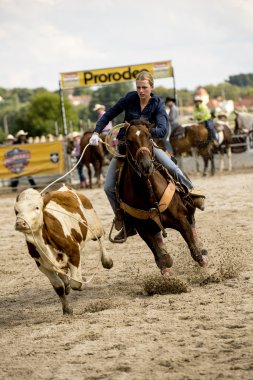 rodeo ahır Kementleme rekabet
