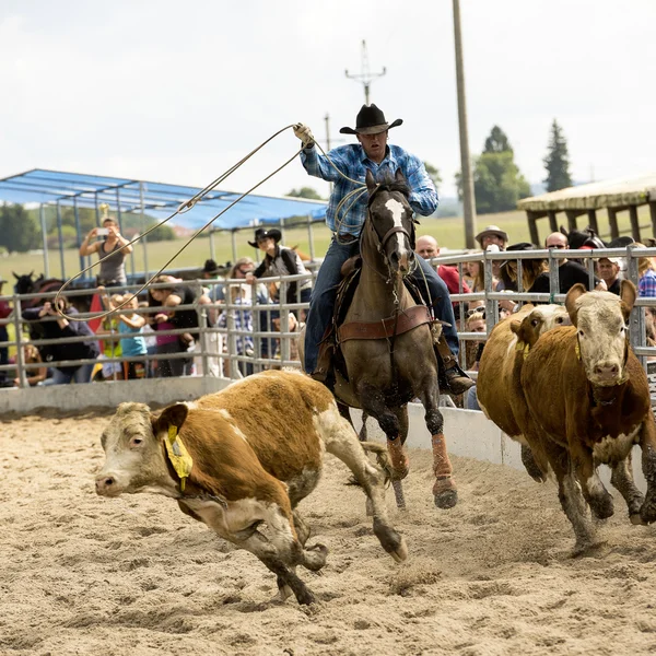 Rodeo Yarışması — Stok fotoğraf