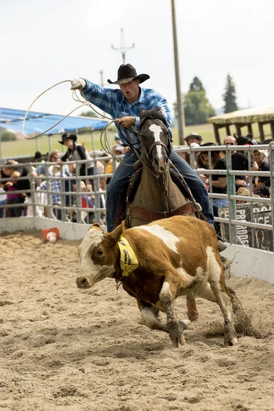 Rodeo soutěž — Stock fotografie