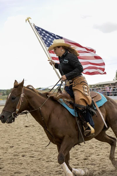 Rodeo competition in ranch roping — Stock Photo, Image