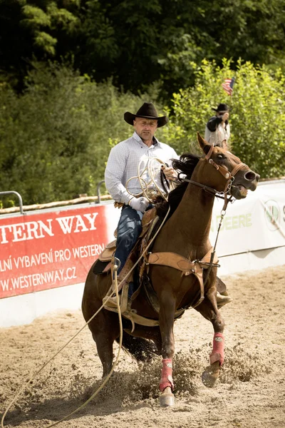 Competição de rodeio no roping rancho — Fotografia de Stock