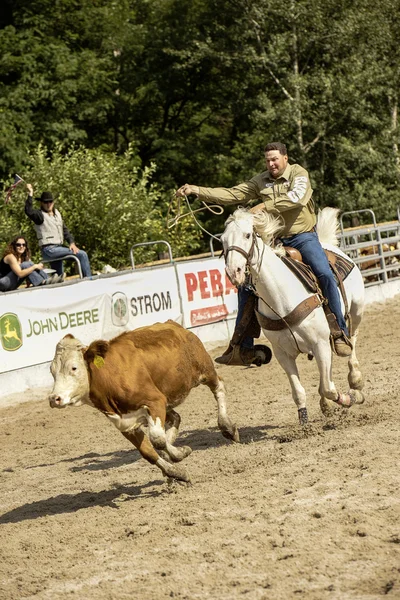 Rodeo verseny — Stock Fotó