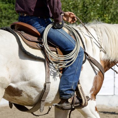 Rodeo ekipmanları