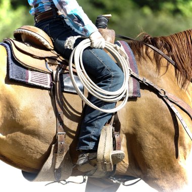 Rodeo ekipmanları