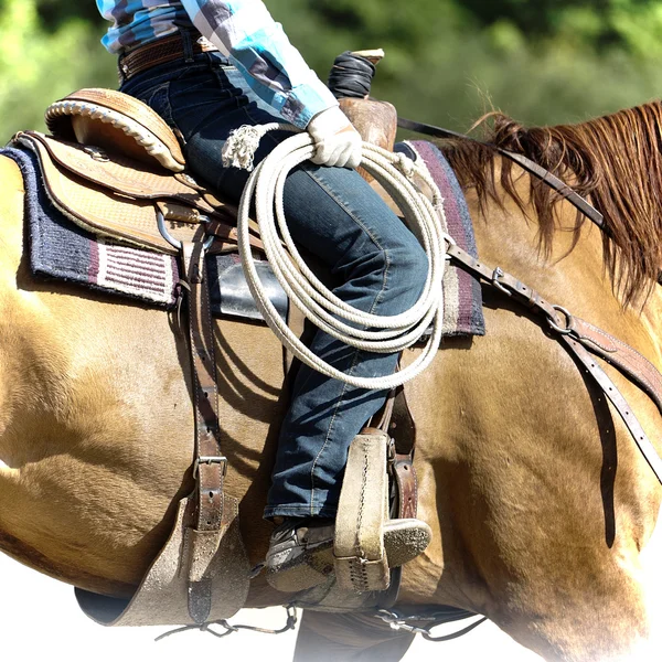 Rodeo ekipmanları