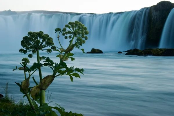 Godafoss — ストック写真