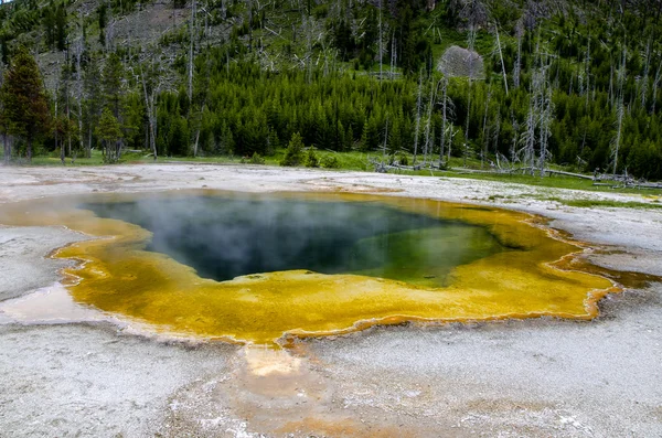 Piscina gialla a Yellowstone — Foto Stock
