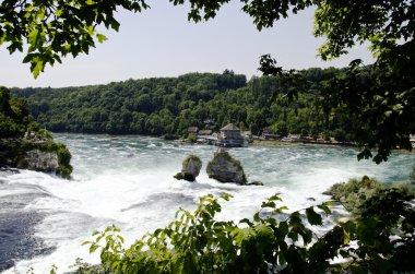 Rhina Falls İsviçre