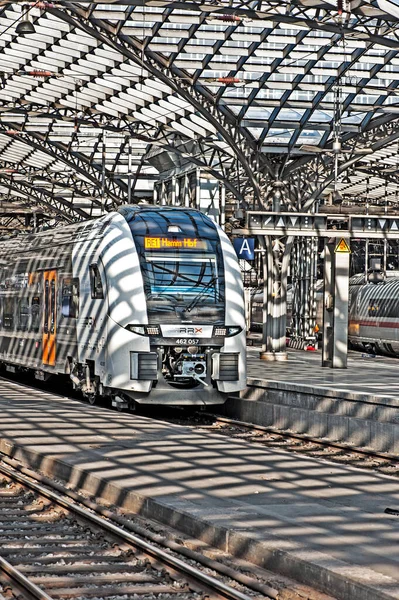 Köln merkez istasyonundaki trenler.