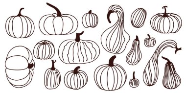 Beyaz arka planda izole edilmiş sonbahar Cadılar Bayramı tarzı balkabağı. Balkabağı ikonu. Vektör. Sonbahar Cadılar Bayramı ya da Şükran Günü balkabağı sembolü