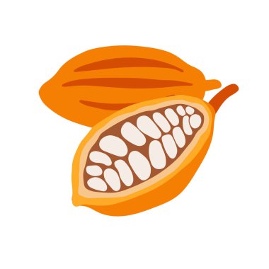 Beyaz arka planda izole edilmiş el yapımı çiğ kakao çekirdekleri. Vektör illüstrasyonu.