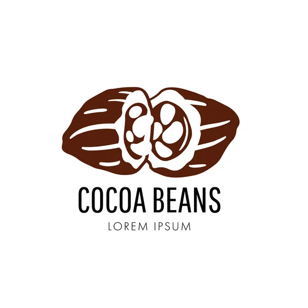 Logo Granos Cacao Chocolate Vector Granos Cacao Marrón Aislado Sobre — Vector de stock