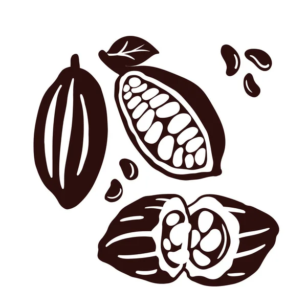 Brown Cocoa Beans Leaves Set Chocolate Beans Vintage Illustration Template — Stock Vector