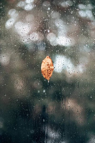 Hola Octubre Ventana Otoño Con Hermosa Hoja Otoño Gotas Lluvia — Foto de Stock